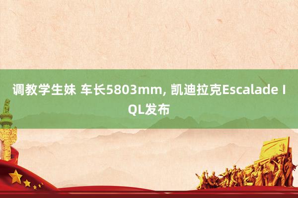 调教学生妹 车长5803mm， 凯迪拉克Escalade IQL发布