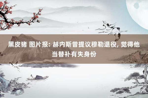 黑皮猪 图片报: 赫内斯曾提议穆勒退役， 觉得他当替补有失身份